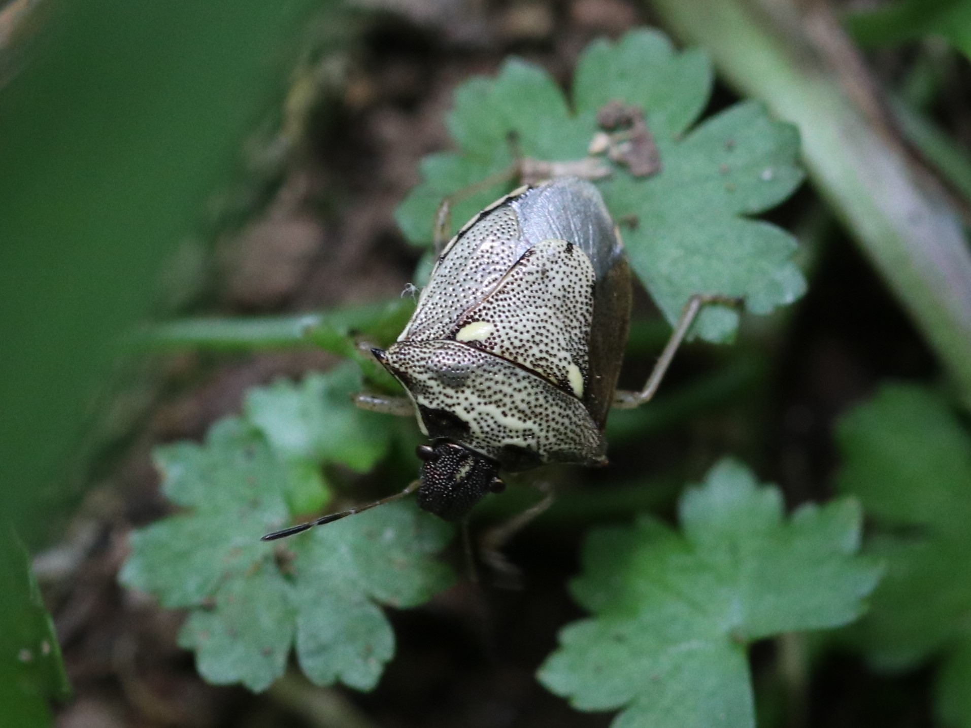 photo_2